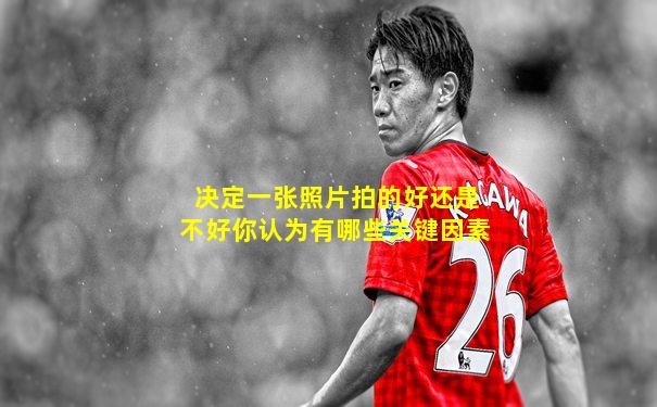 决定一张照片拍的好还是不好你认为有哪些关键因素