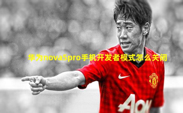 华为nova5pro手机开发者模式怎么关闭