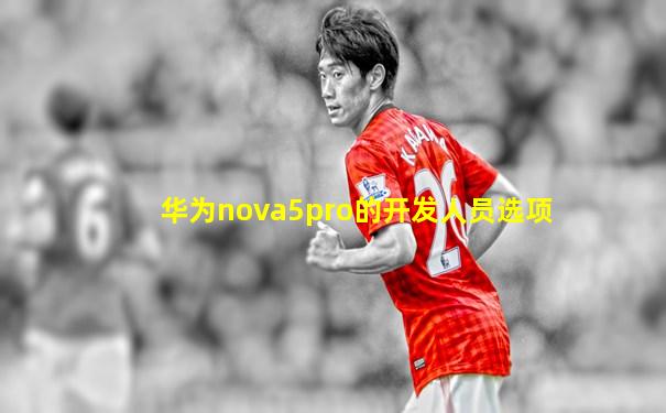 华为nova5pro的开发人员选项