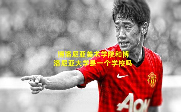 博洛尼亚美术学院和博洛尼亚大学是一个学校吗