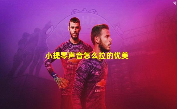 小提琴声音怎么拉的优美