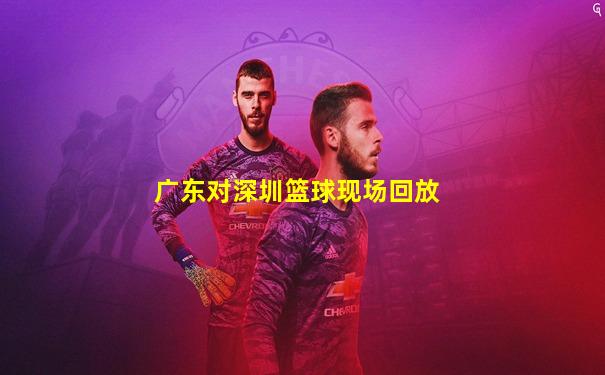 广东对深圳篮球现场回放