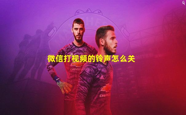 微信打视频的铃声怎么关