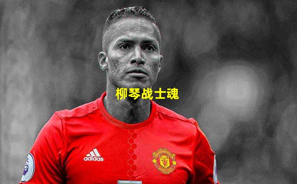 柳琴战士魂