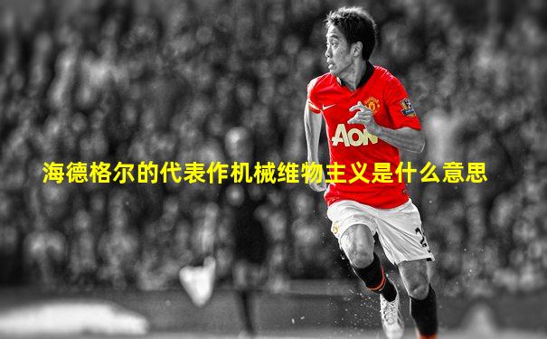 海德格尔的代表作机械维物主义是什么意思