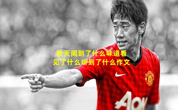 秋天闻到了什么味道看见了什么听到了什么作文