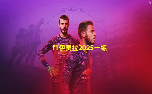 f1伊莫拉2025一练