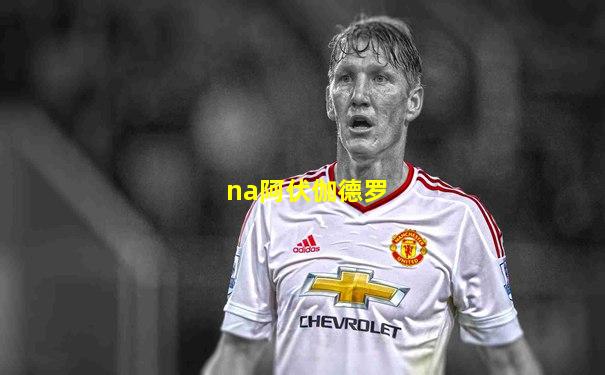 na阿伏伽德罗