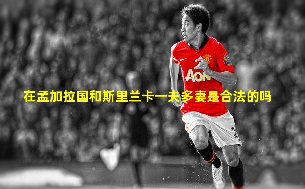 在孟加拉国和斯里兰卡一夫多妻是合法的吗