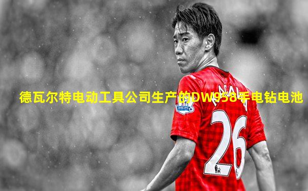 德瓦尔特电动工具公司生产的DW958手电钻电池