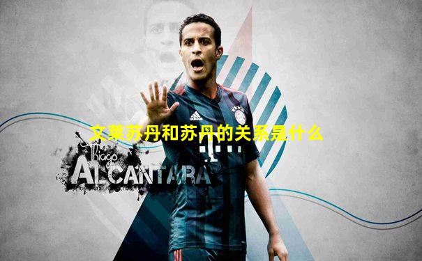 文莱苏丹和苏丹的关系是什么