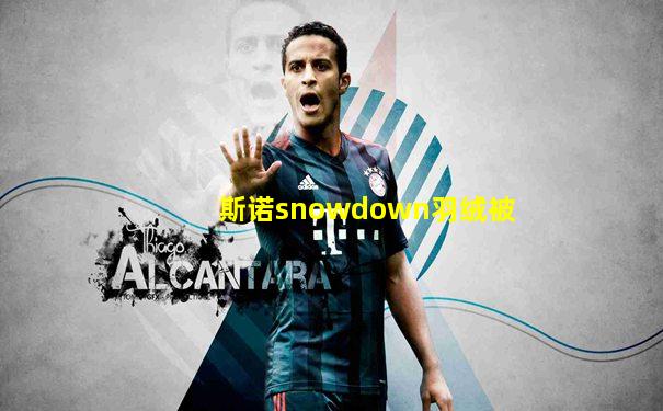 斯诺snowdown羽绒被