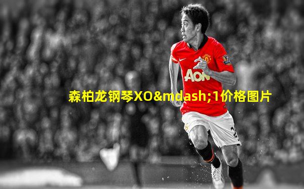 森柏龙钢琴XO—1价格图片