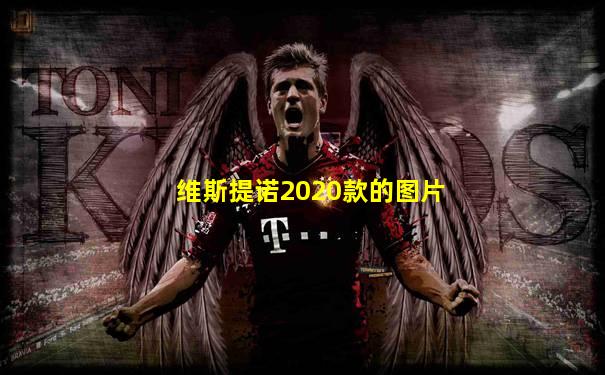 维斯提诺2020款的图片