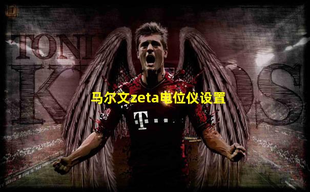 马尔文zeta电位仪设置