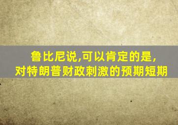 鲁比尼说,可以肯定的是,对特朗普财政刺激的预期短期
